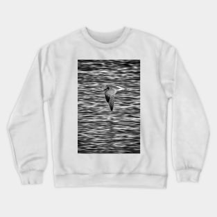 Flight of the Curlew Crewneck Sweatshirt